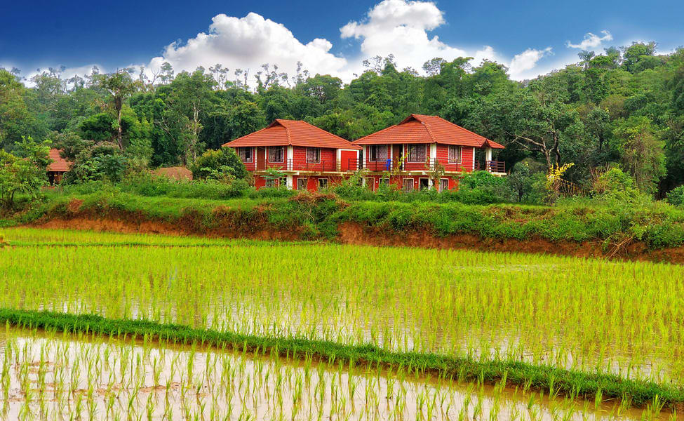 A Stream Side Hideaway Amidst the Lush Greens of Sakleshpur