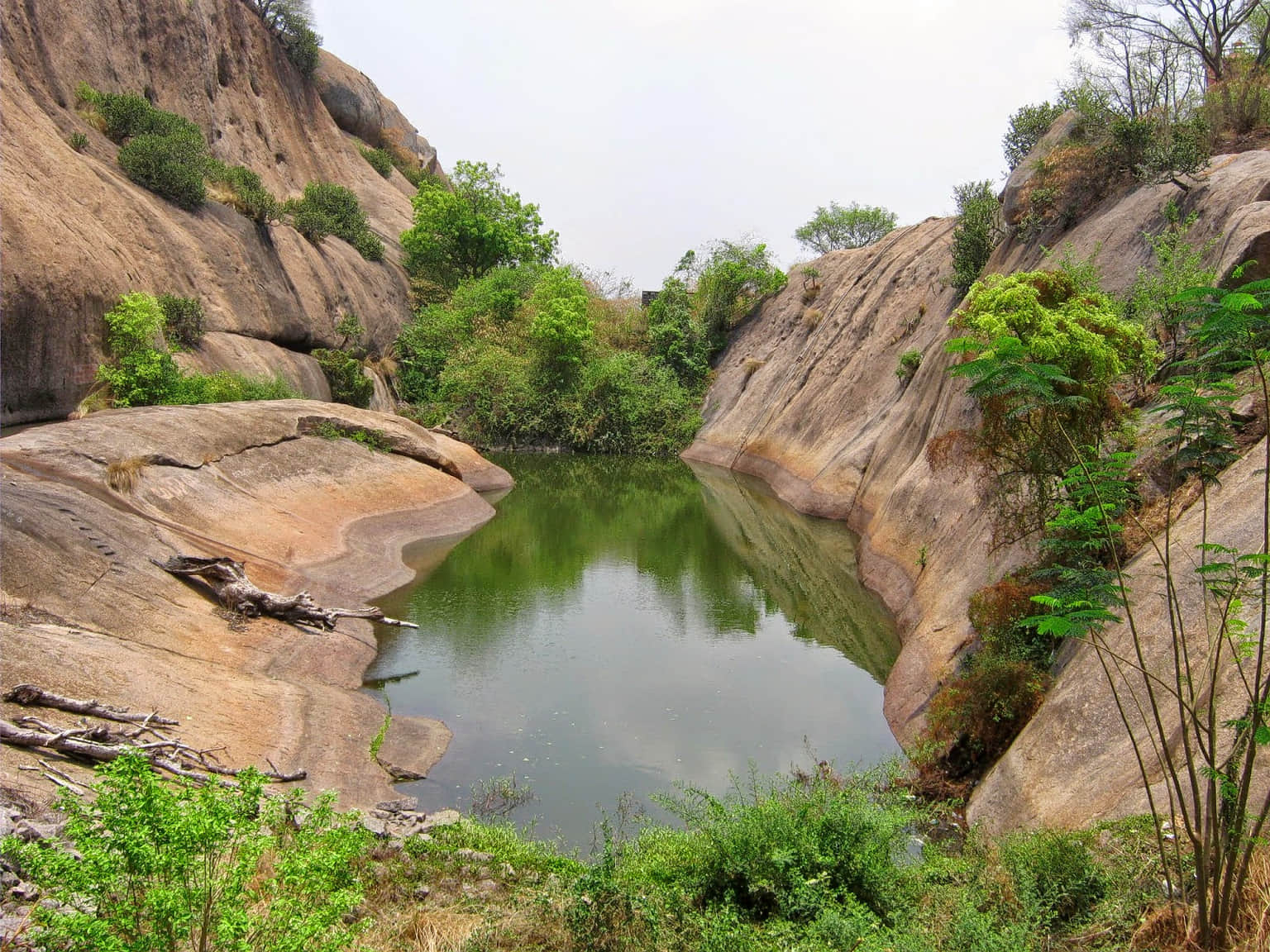 Ramadevara Betta Hill