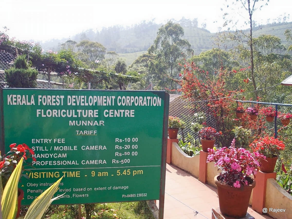 Floriculture Centre, <em>Munnar</em>