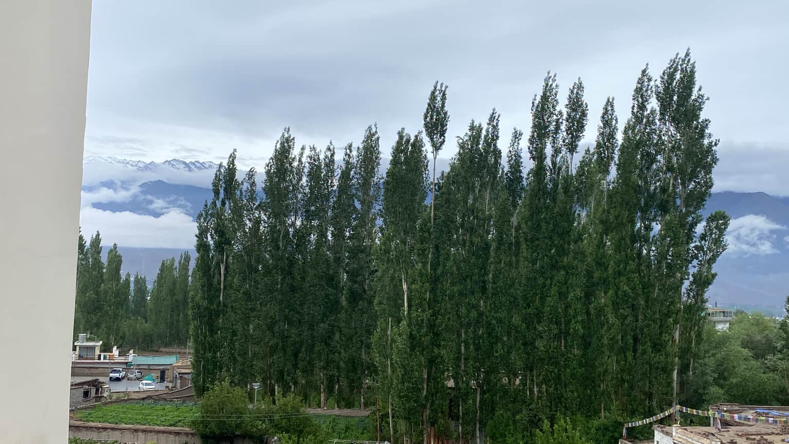Photo from Nita 's trip
