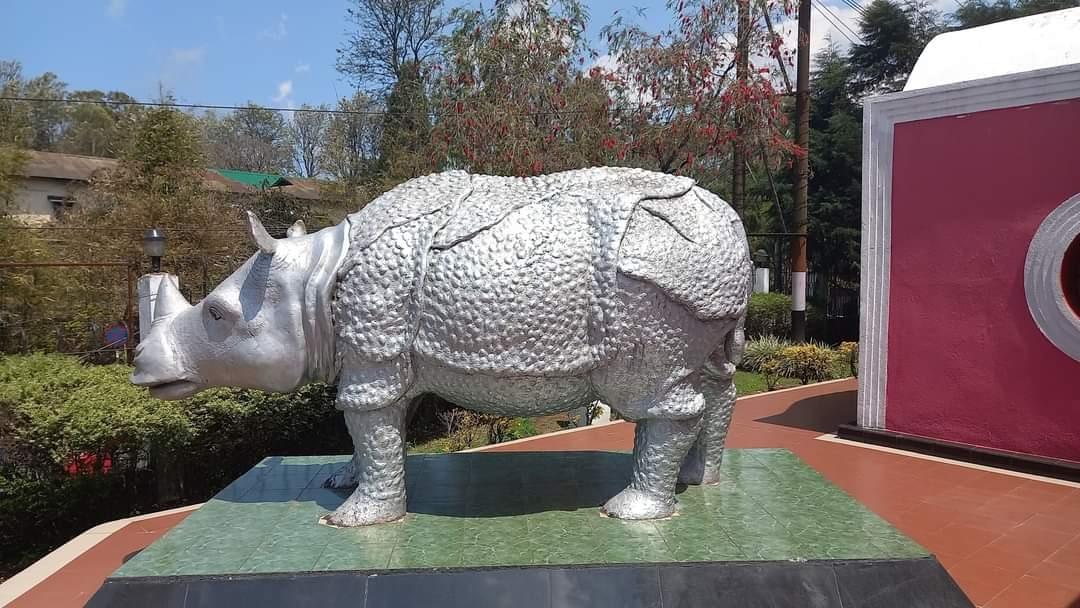 Rhino Heritage Museum Overview