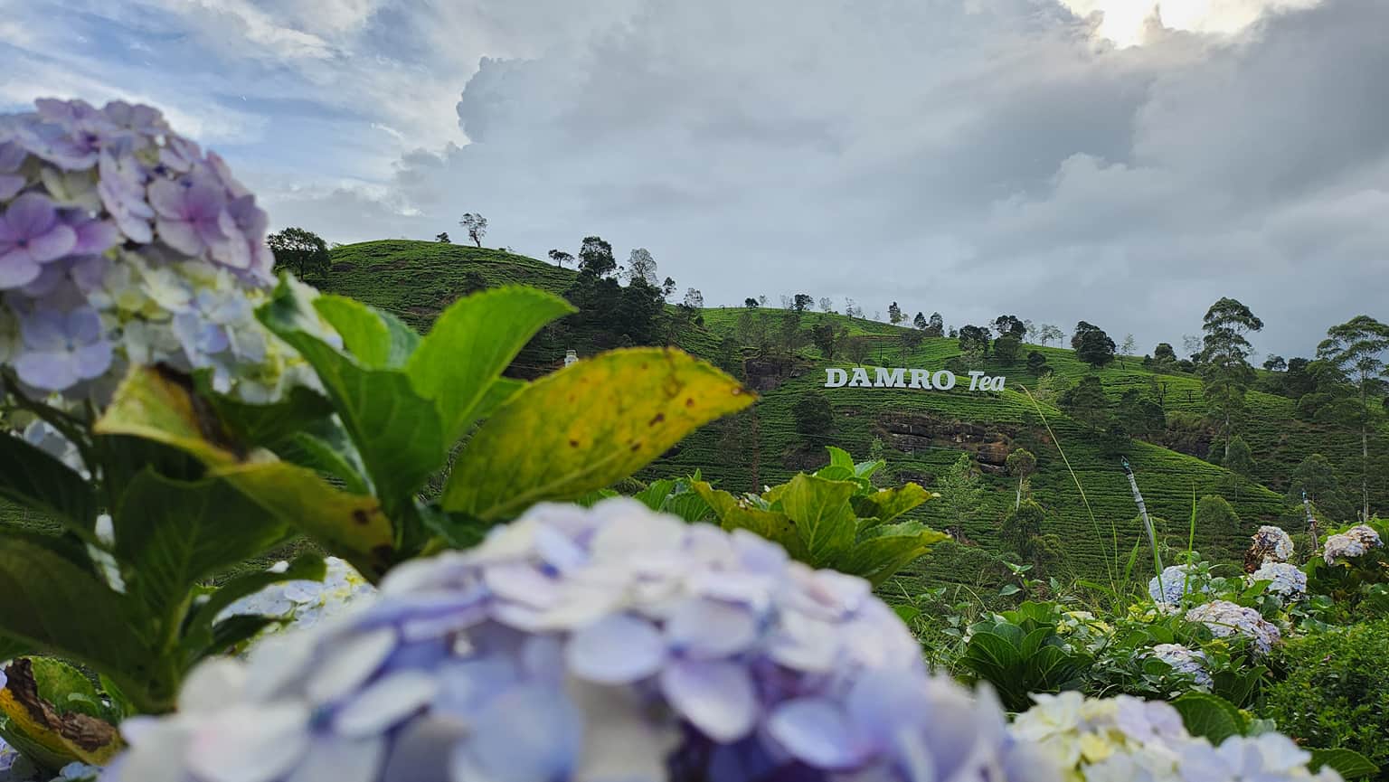 Photo from Roseline  Arokyaswamy's trip