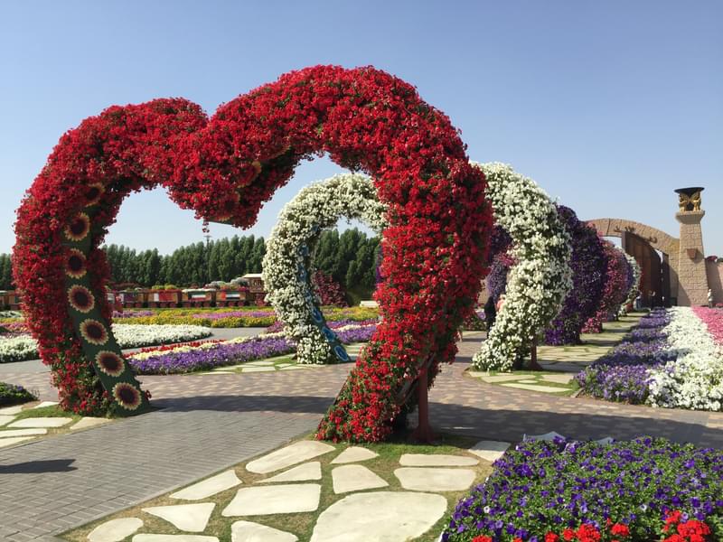 3D Floral Designs in Dubai Miracle Garden