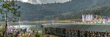 Trek Through Forest Trails