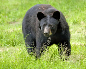 I56ckykkpzeqjcbww1iqphmvqd8u 1591187474 23072