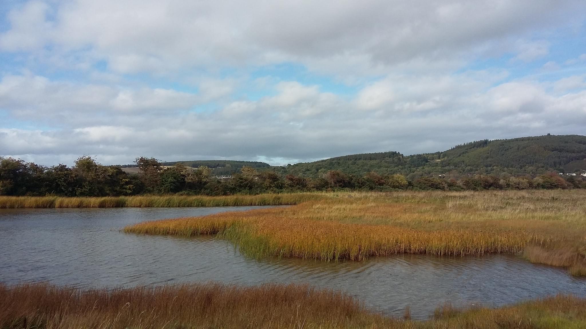 Merkinch Local Nature Reserve Overview