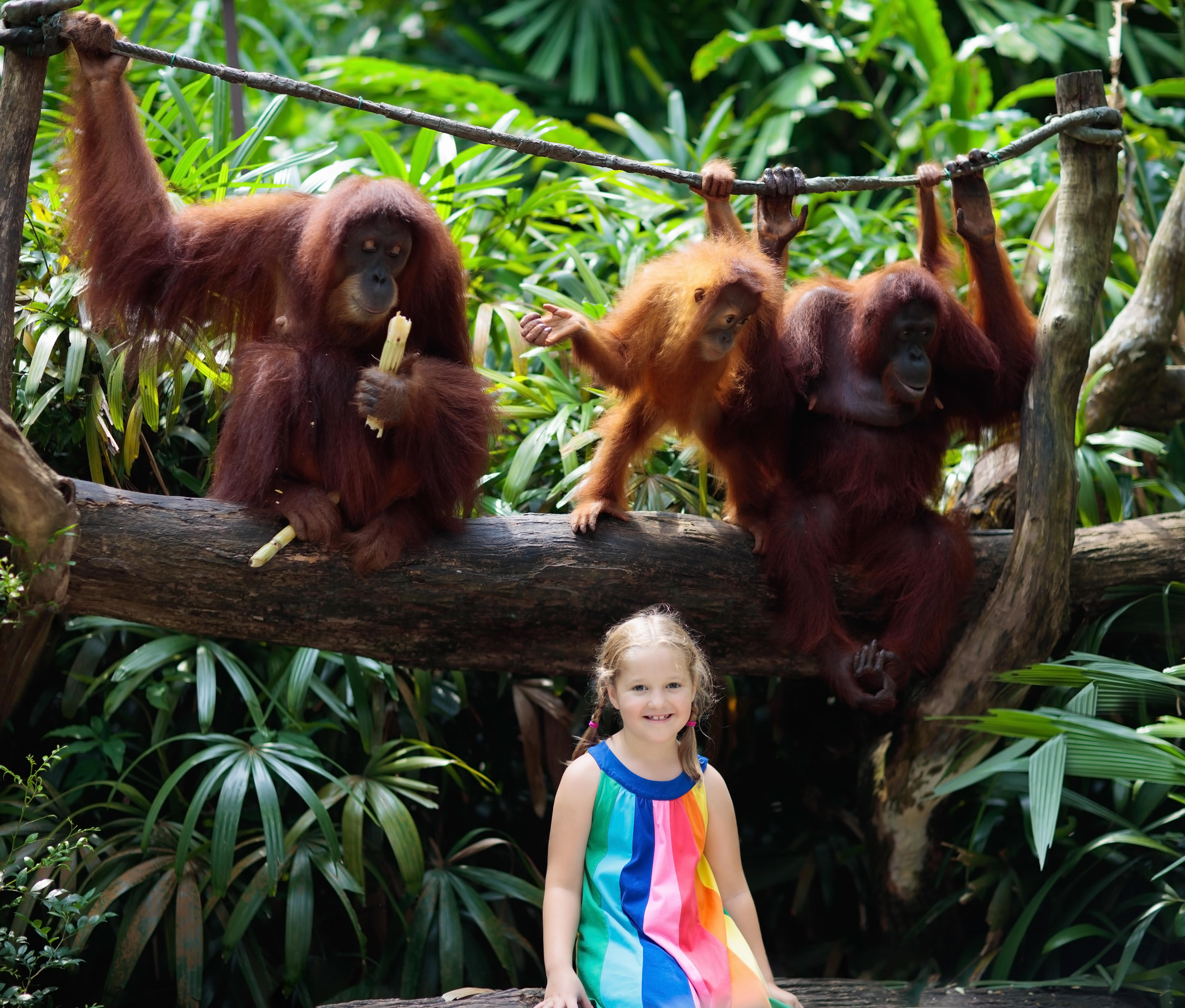 Child at Singapore Zoo 