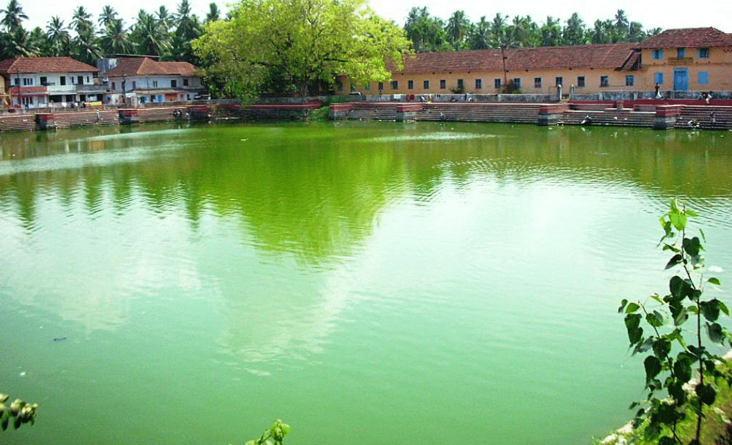 Tali Temple Pond Overview
