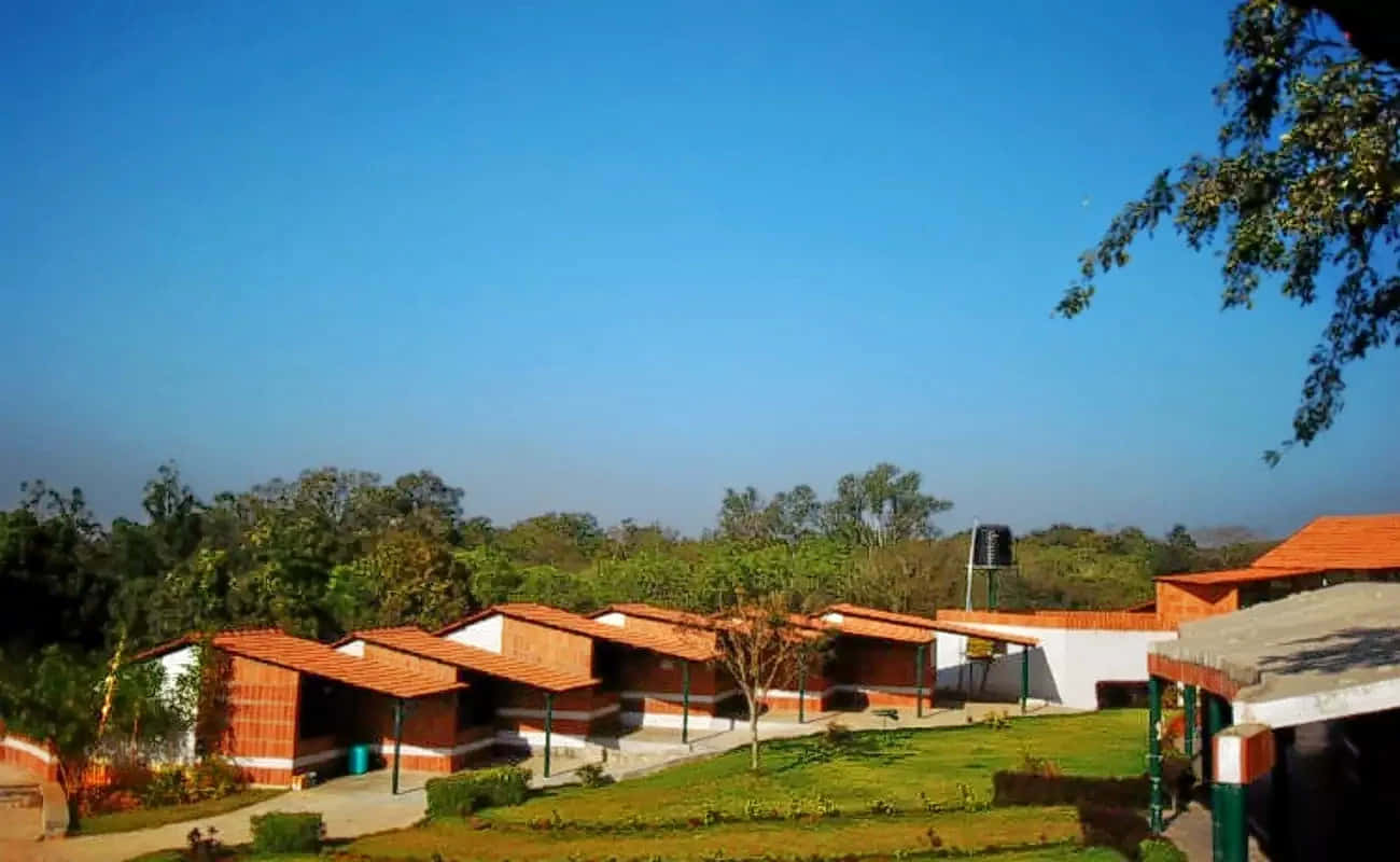 Overnight Stay in Bannerghatta Nature Camp