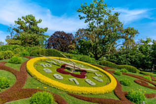 I69l4dui1onq96vb56qczusrlz6e 1579778294 l'horloge fleurie (the flower clock)