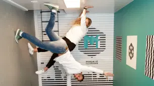 I6d4ib6p7i10votfcvuzvw3pe4nl illusion3