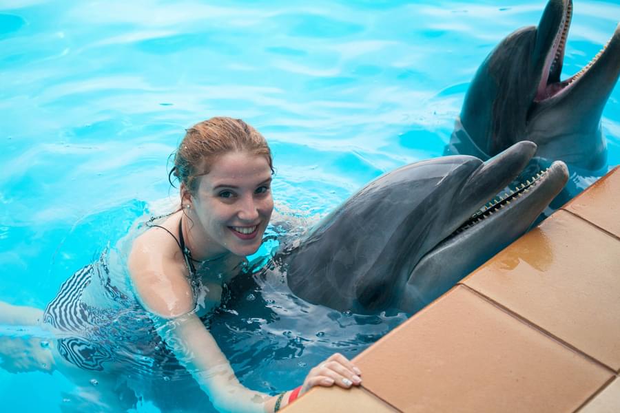 Photos with Dolphins