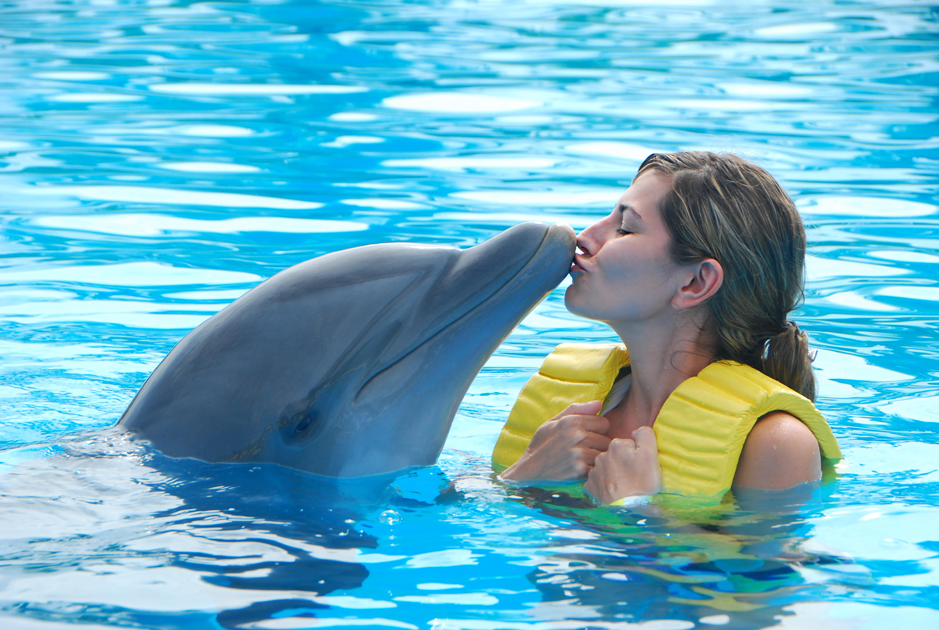 Kissing Dolphin at Dubai Dolphinarium