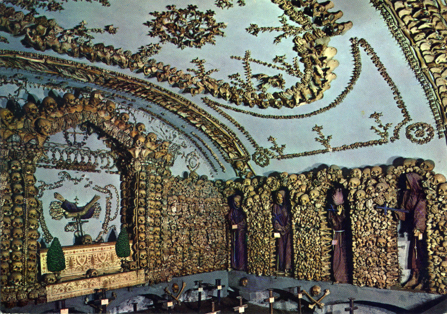 The Museum