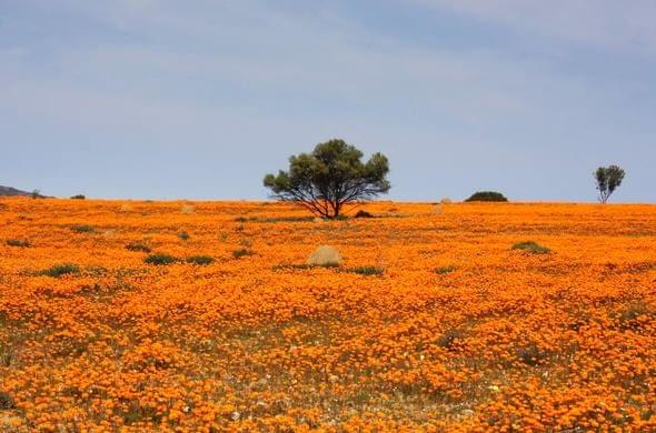 Namaqua National Park.jpg