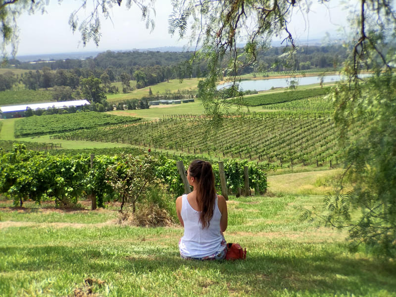 Hunter Valley Gourmet Food and Wine Tour from Sydney Image