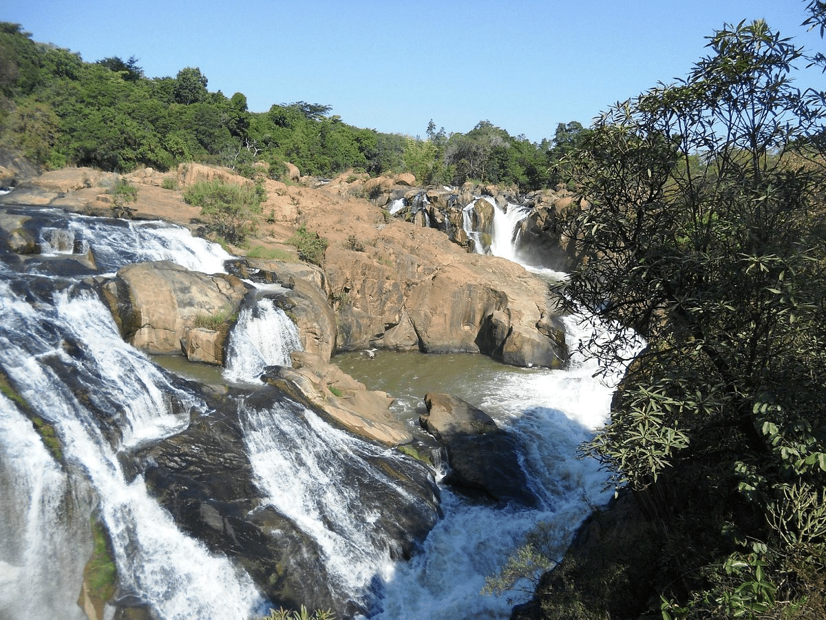 Lowveld National Botanical Garden