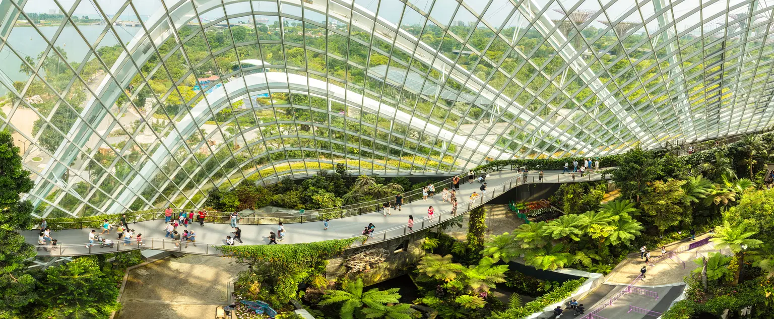 OCBC Skyway- Gardens By the Bay