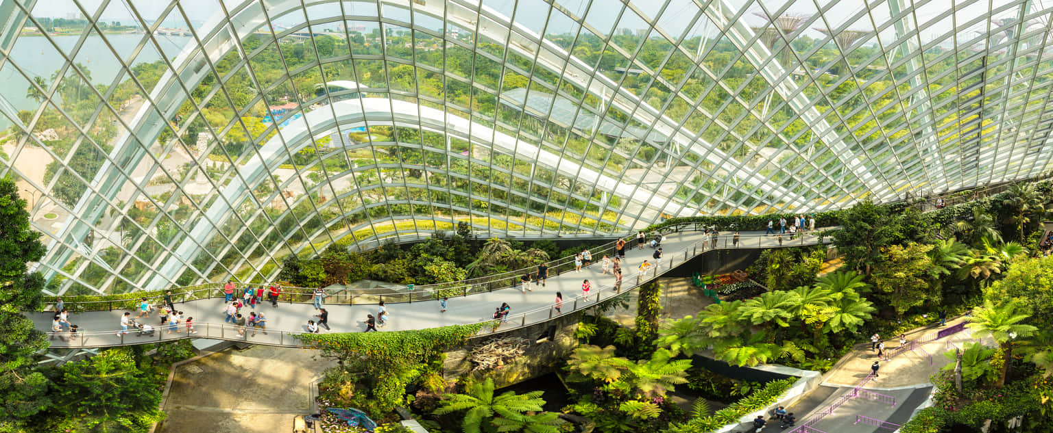 OCBC Skyway- Gardens By the Bay, <em>Singapore</em>
