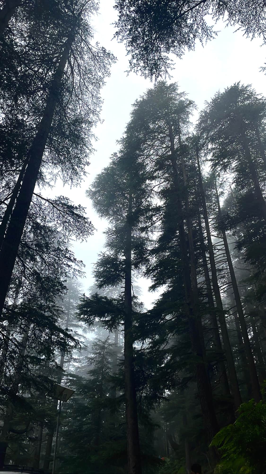 Photo from manish .'s trip