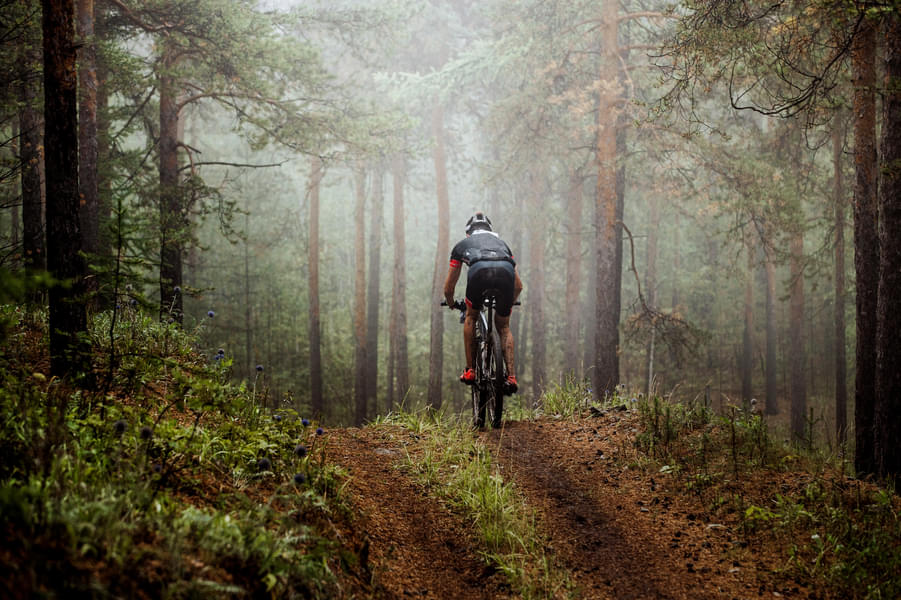 Mountain Biking In Dandeli Jungle Image