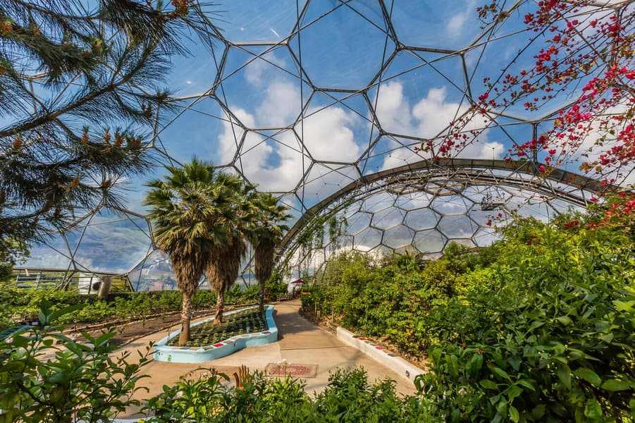 Eden Project Tickets Image