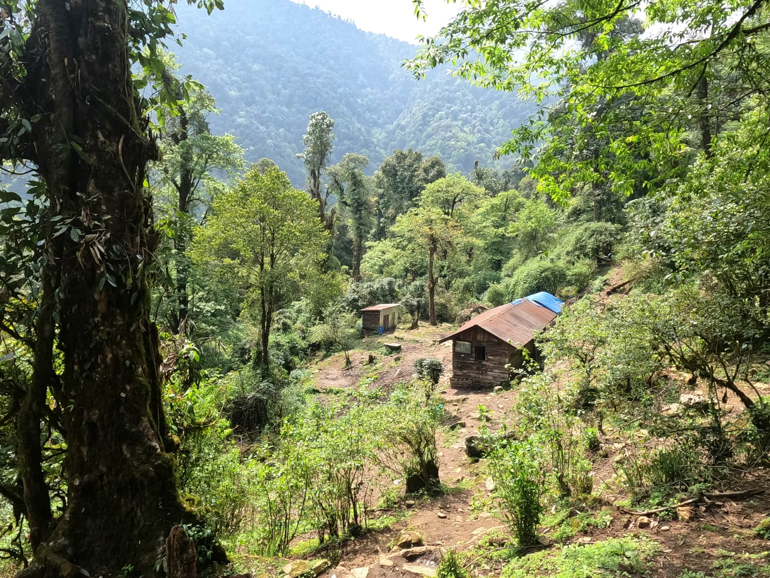 Photo from Vishal Patel's trip