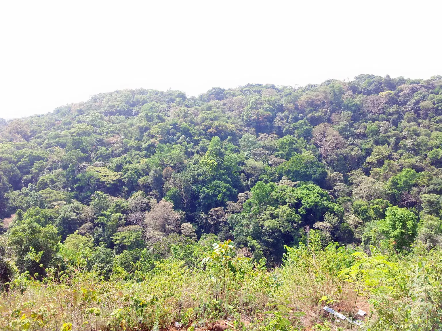 Photo from Vasudeva Marar's trip