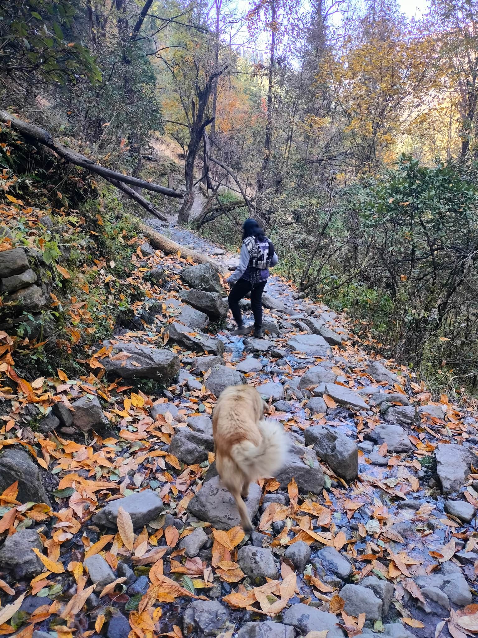 Photo from Mohsin 's trip