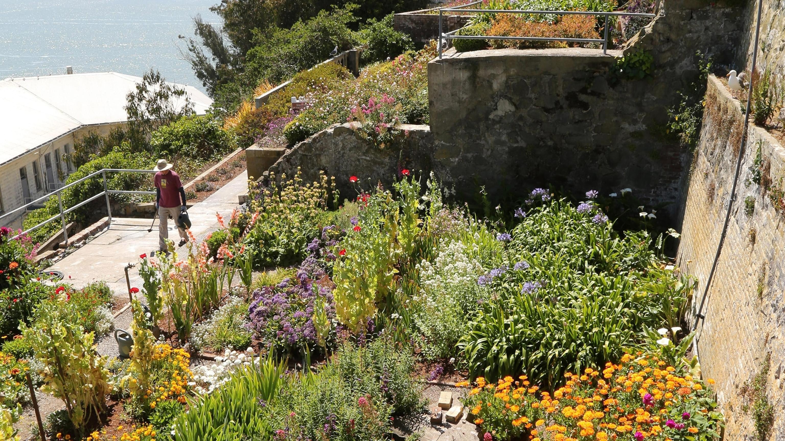 Stroll into the Gardens of Alcatraz