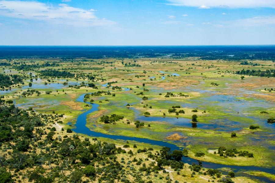 Botswana Honeymoon Safari Image