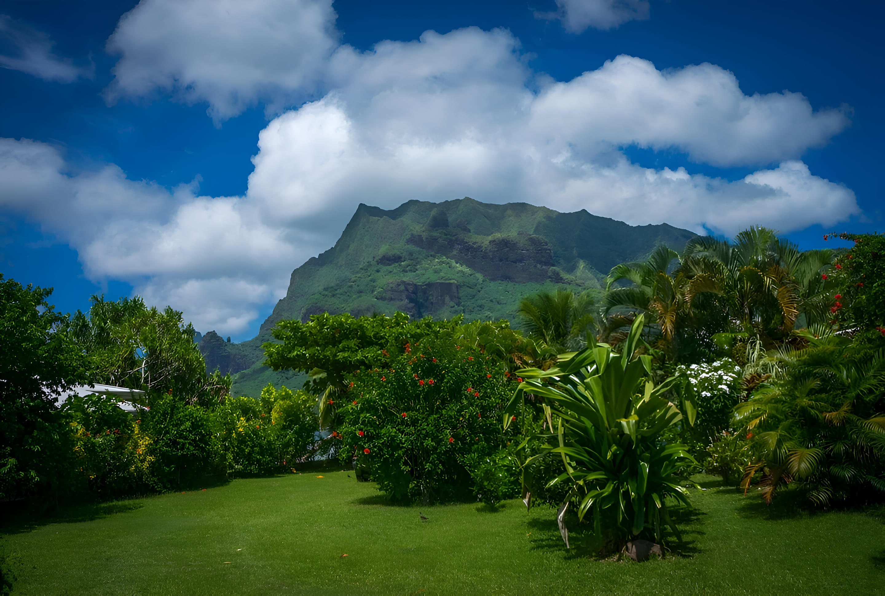 Moorea Tropical Garden Overview