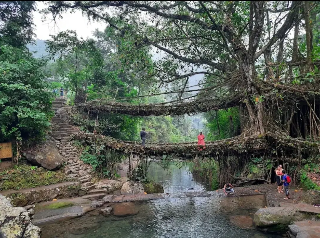 Photo from gopalakrishnan tk's trip