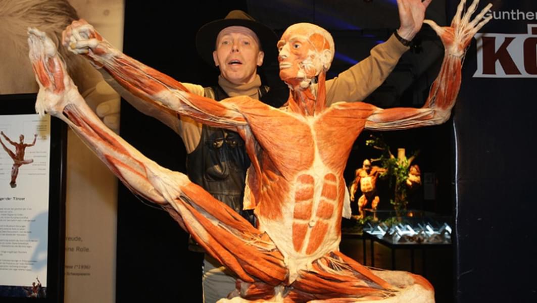 BODY WORLDS Berlin Tickets Image