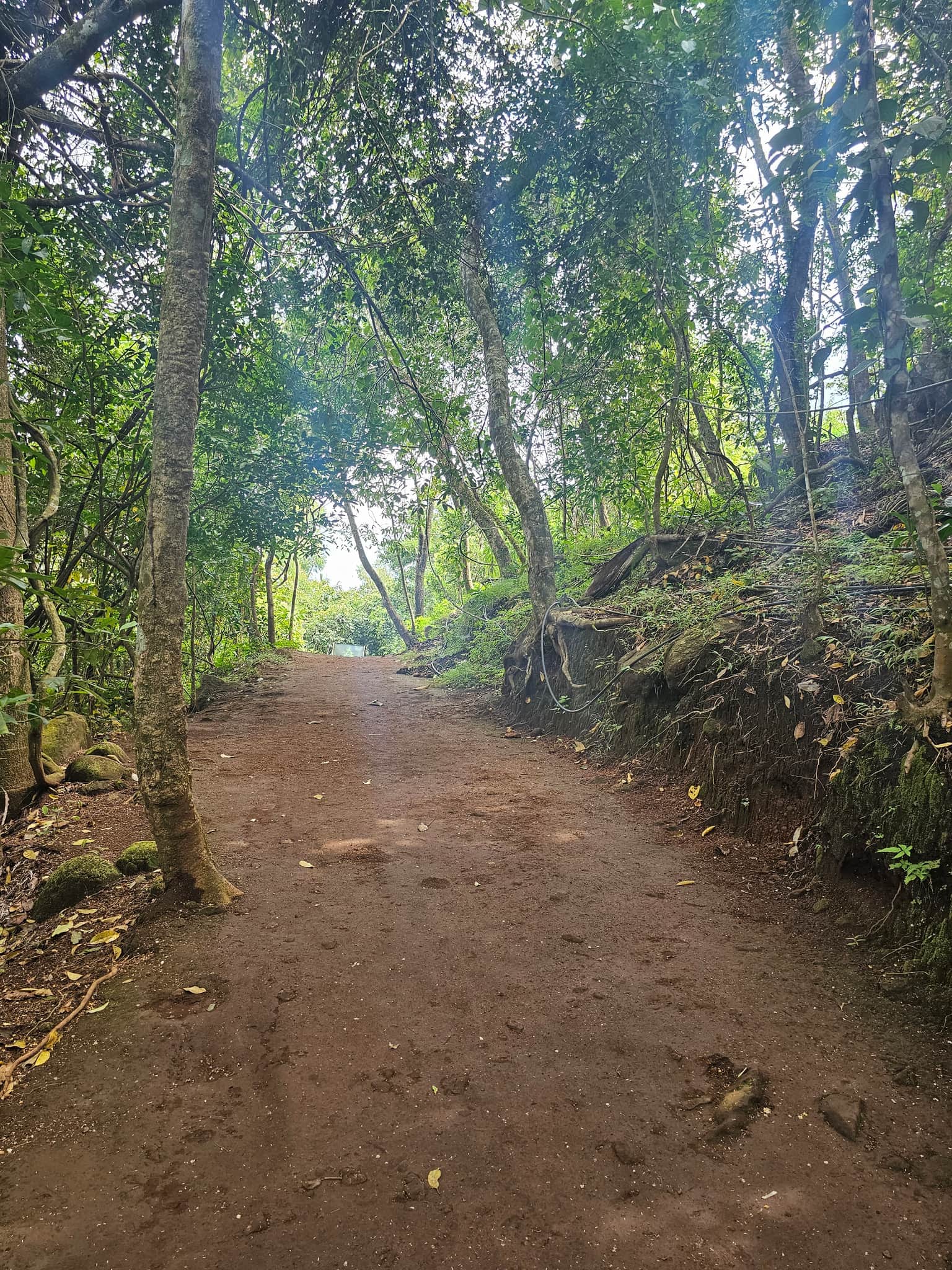 Photo from Ankur Singh's trip