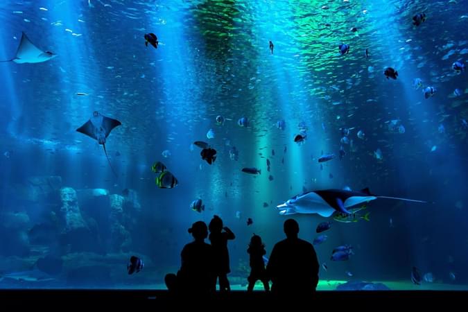 Hurghada Grand Aquarium