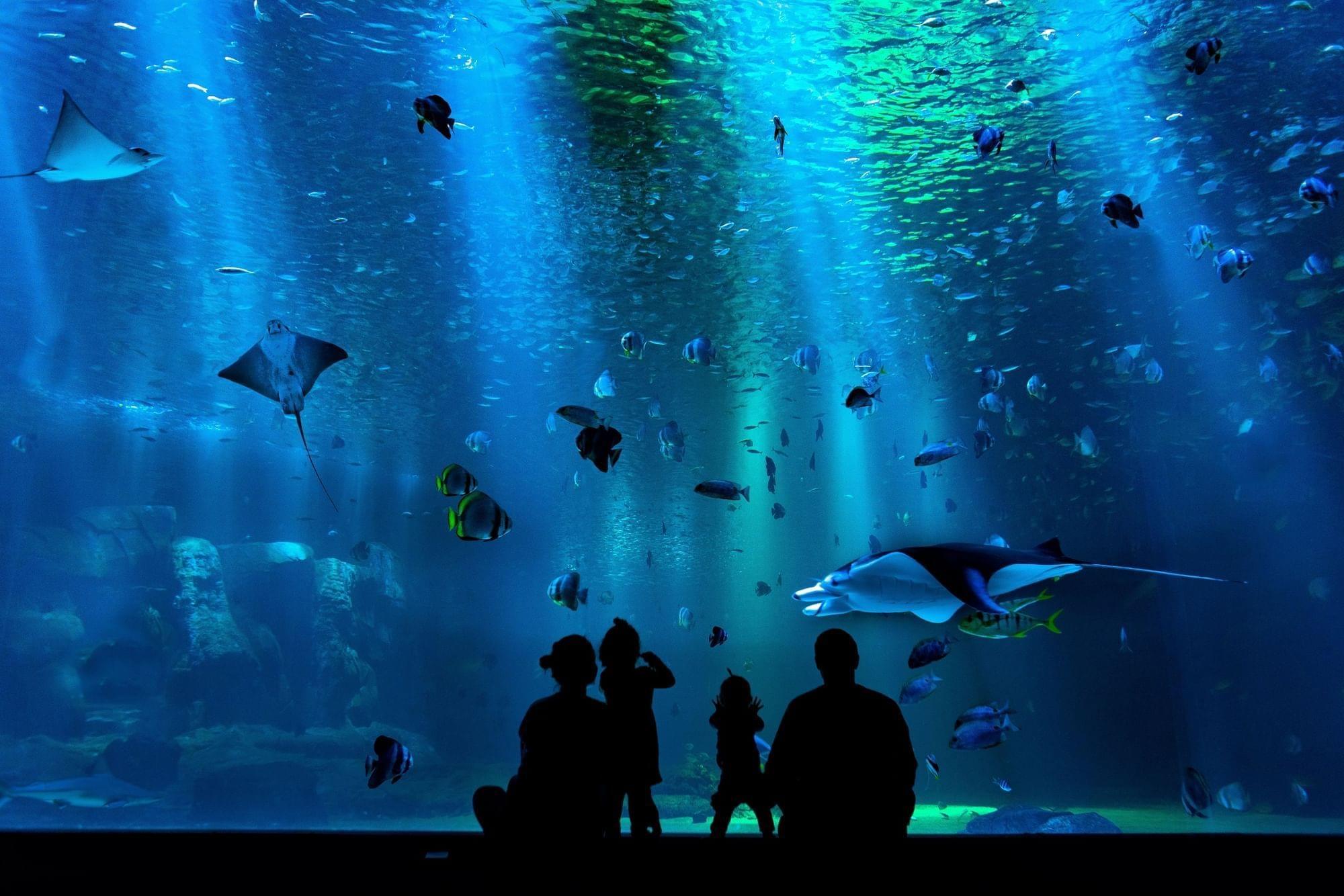 Hurghada Grand Aquarium Overview