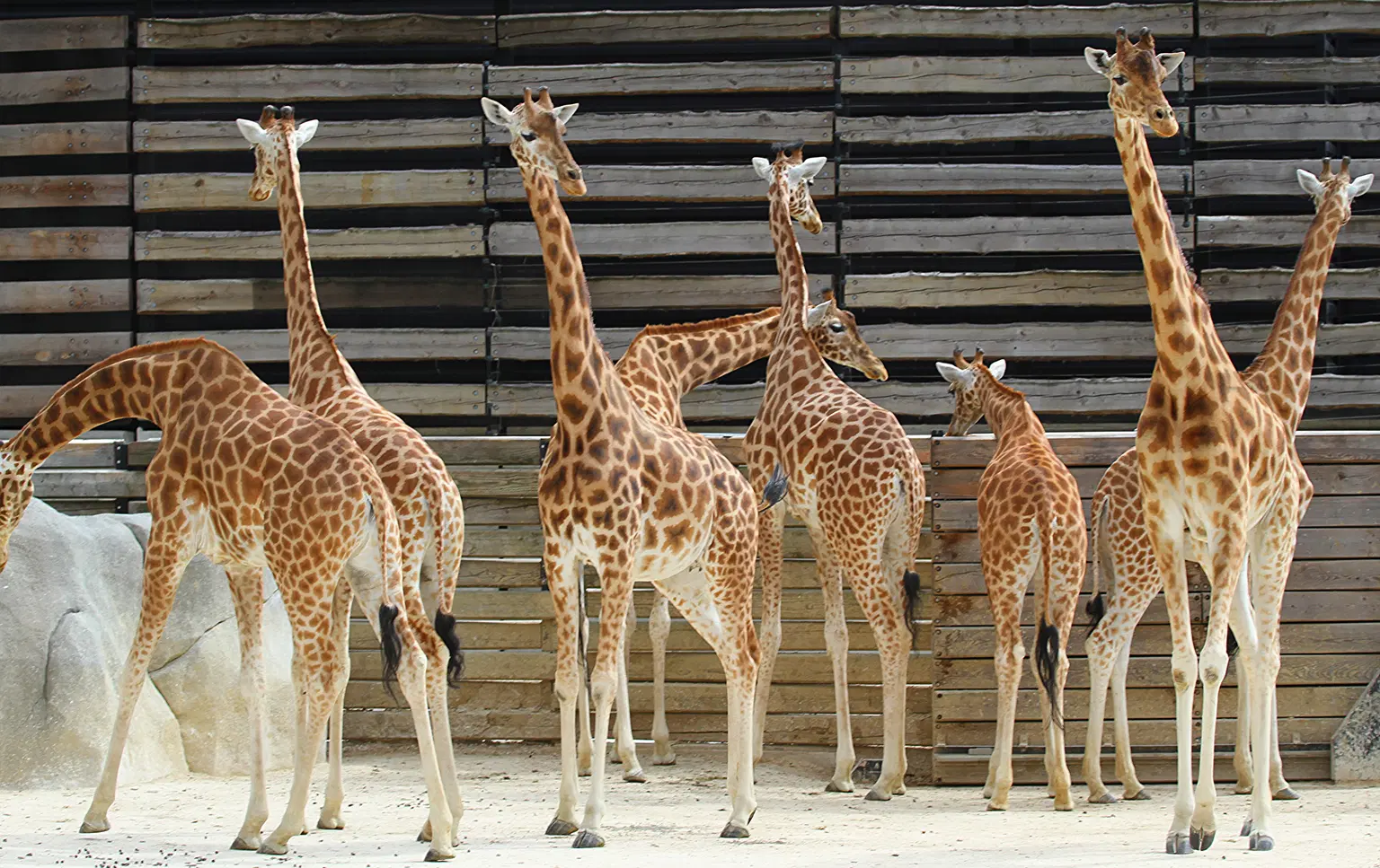 Paris Zoological Park