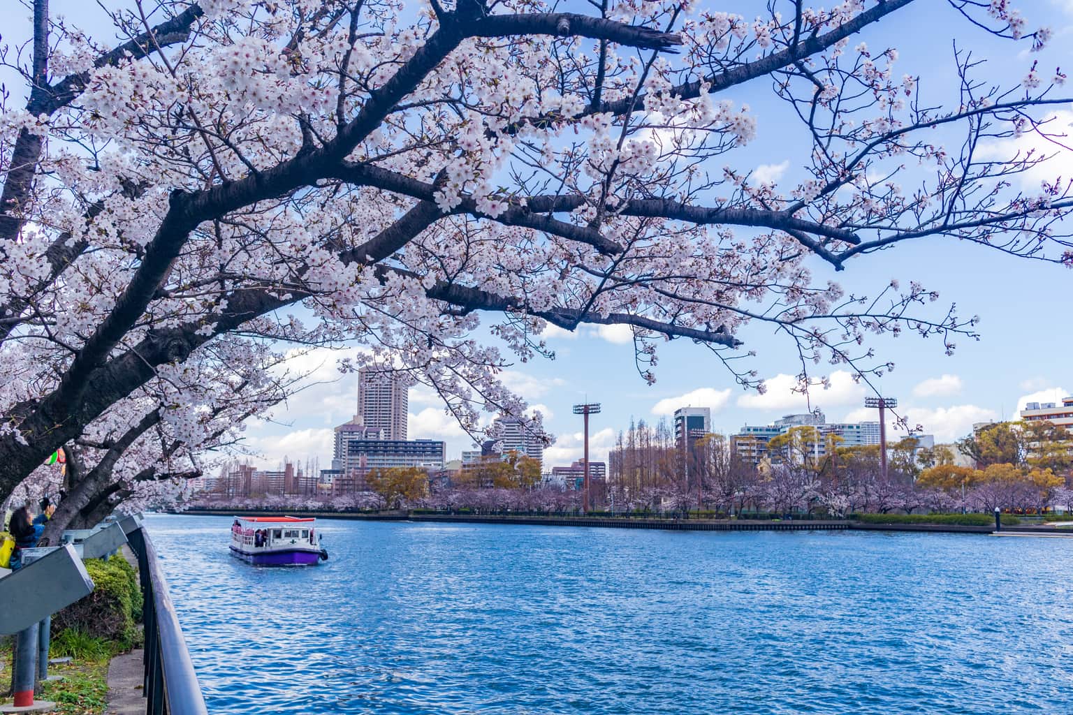 <em>Osaka</em> Tour Packages From Surat