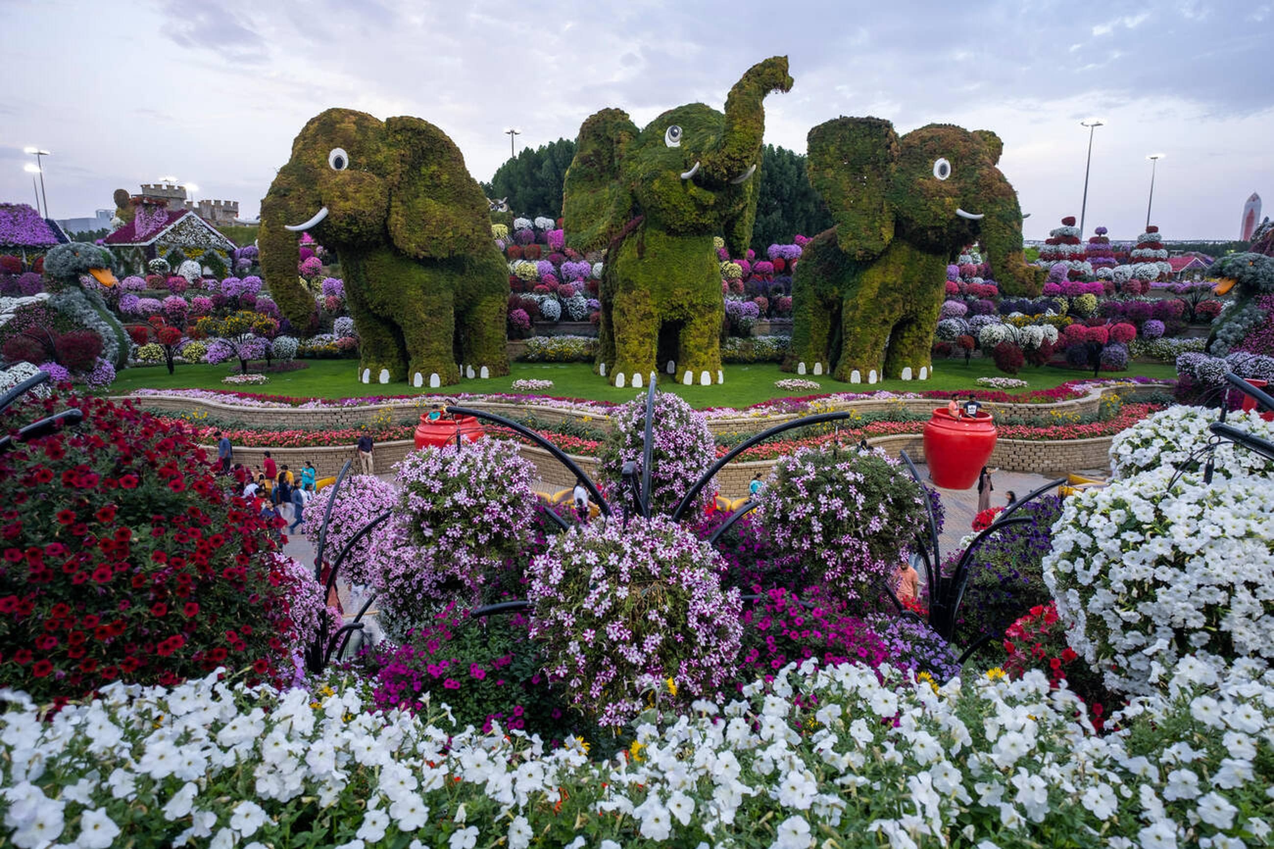 Inside Miracle Garden Dubai