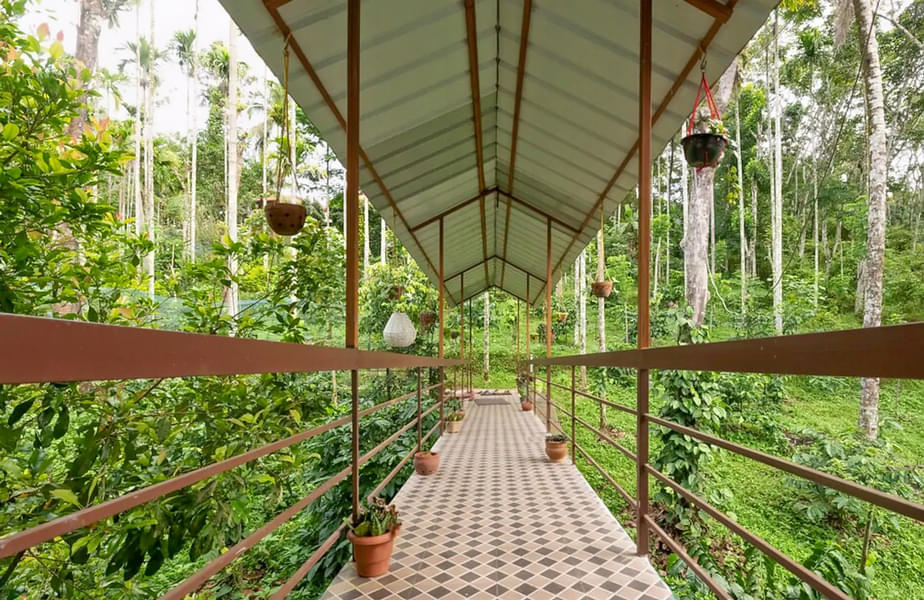 Private Boutique Cottages in Wayanad Image