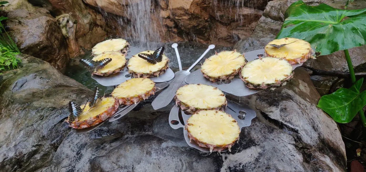 Photo from Krishnam Jhunjhunwala's trip