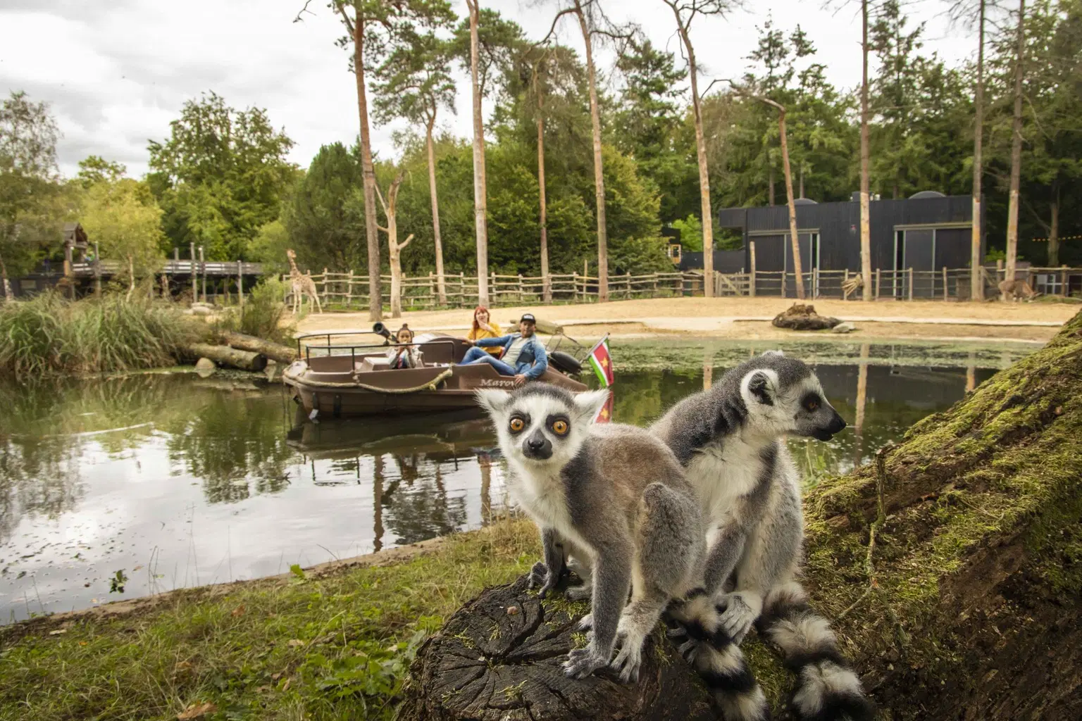 DierenPark Amersfoort, <em>Netherlands</em>