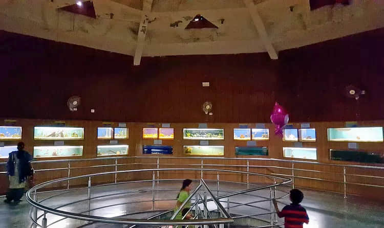 Bangalore Aquarium, <em>Bangalore</em>