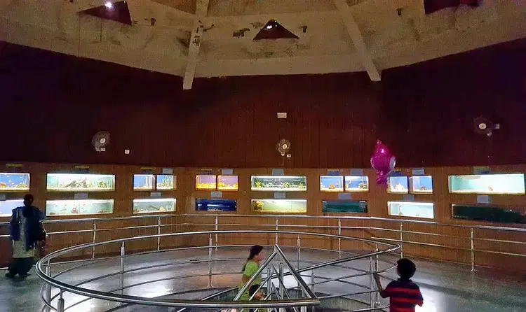Bangalore Aquarium
