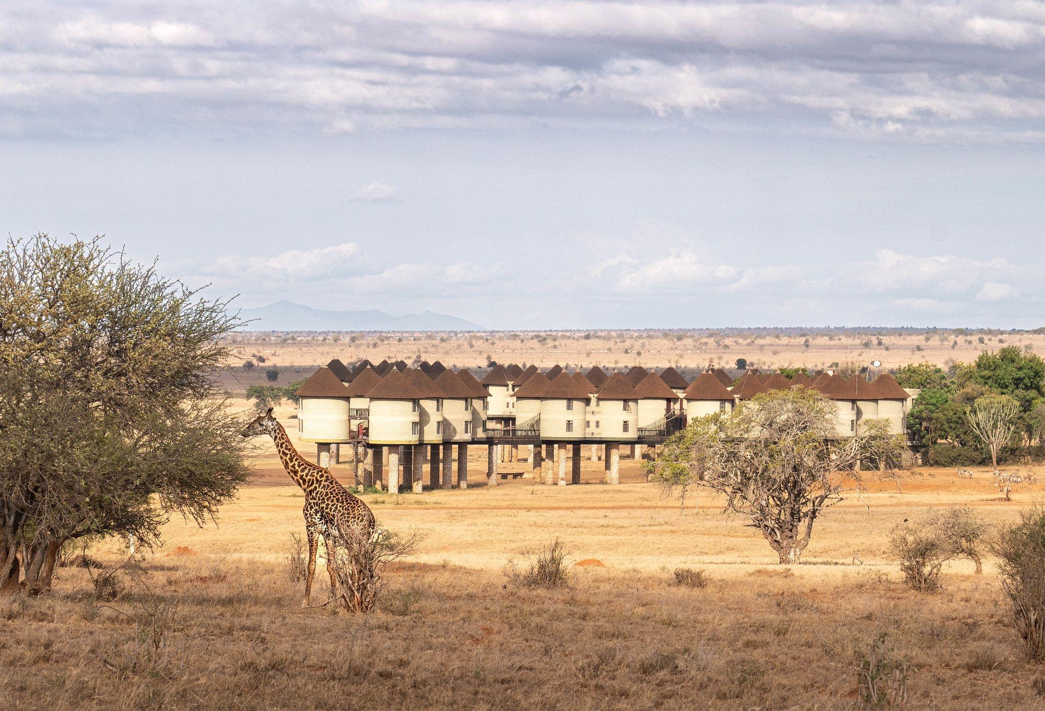 Salt Lick Safari Lodge