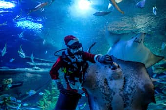 Aquaria KLCC in Kuala Lumpur