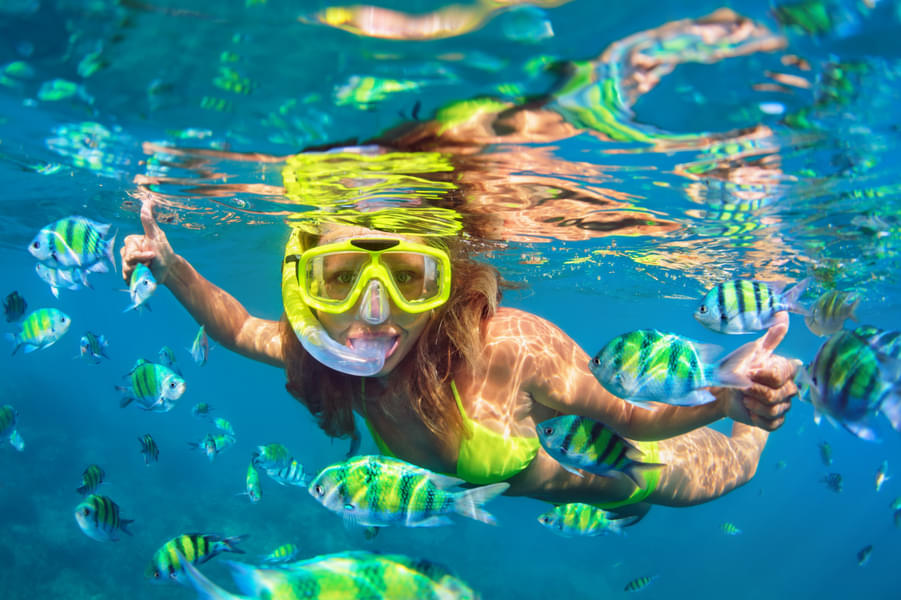 Snorkeling in Amed Image
