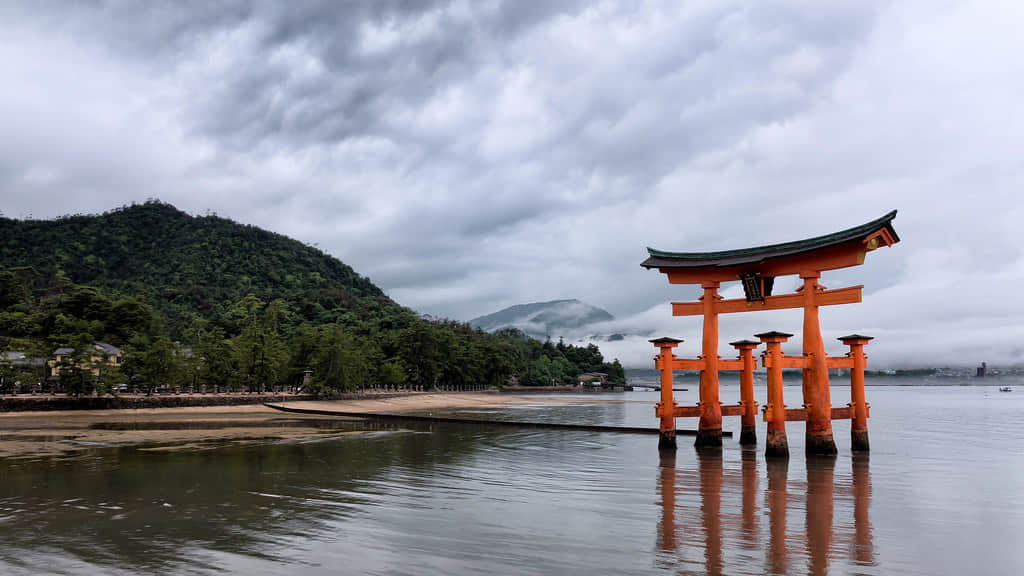 Look at the offshore Torii gate