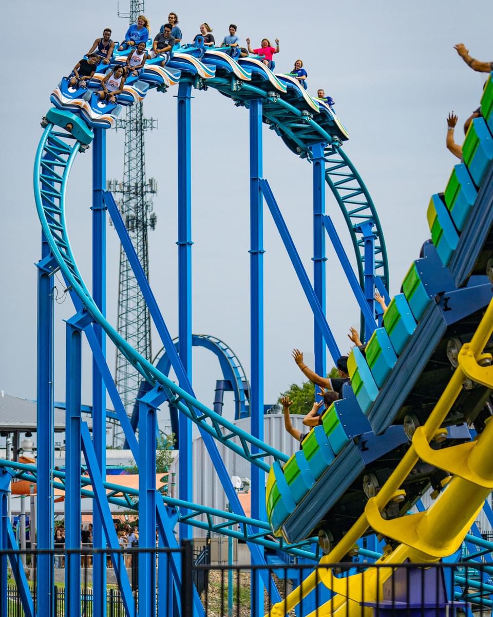 Great White Roller Coaster